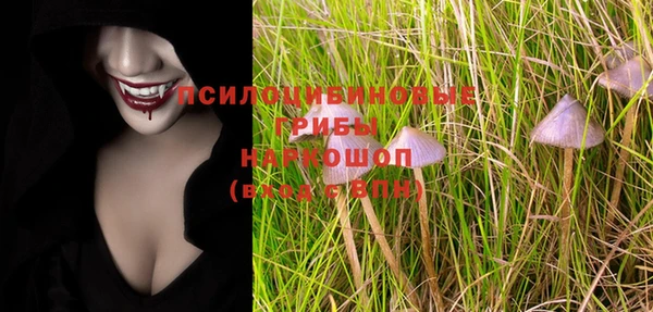 ПСИЛОЦИБИНОВЫЕ ГРИБЫ Абаза