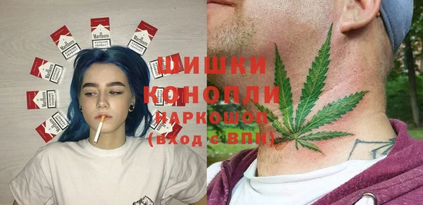 ПСИЛОЦИБИНОВЫЕ ГРИБЫ Абаза