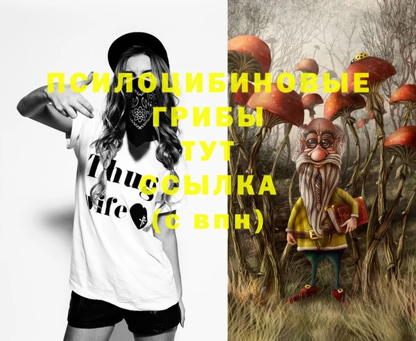 ПСИЛОЦИБИНОВЫЕ ГРИБЫ Абинск