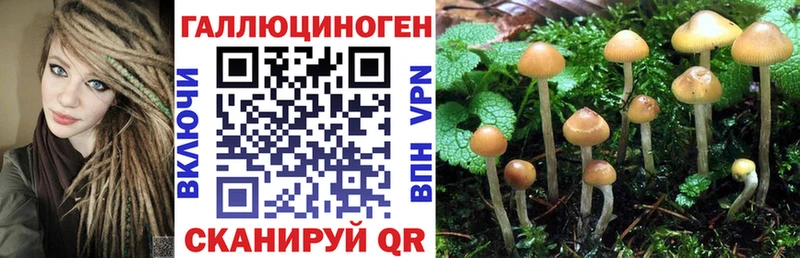 мега tor  продажа наркотиков  Тырныауз  Галлюциногенные грибы Cubensis 