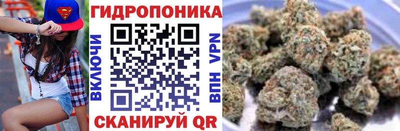купить закладку  Тырныауз  Бошки марихуана ГИДРОПОН 